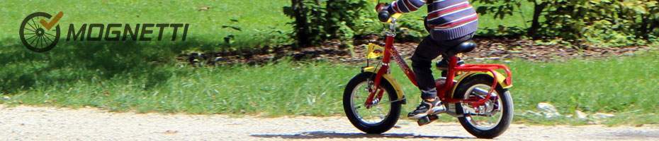 Bici bambino Rebel Kidz Ado E-Bike Cicli Casadei